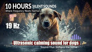 🔊 Ultrasonic Silent Sound — Gentle High Frequency Ambience to Reduce Nighttime Dog Barking 10 Hours screenshot 1