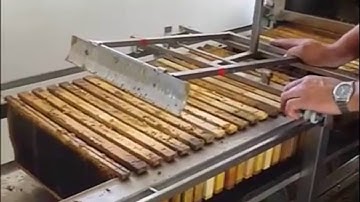 Honey extracting line