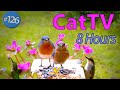 TV for Cats to Watch 😻 8 Hours of Birds 🐦Uninterrupted CatTV No Ads