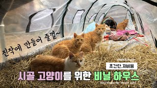 추운 겨울 길고양이들을 위해 대형비닐하우스를 마당에 설치해 주었더니…