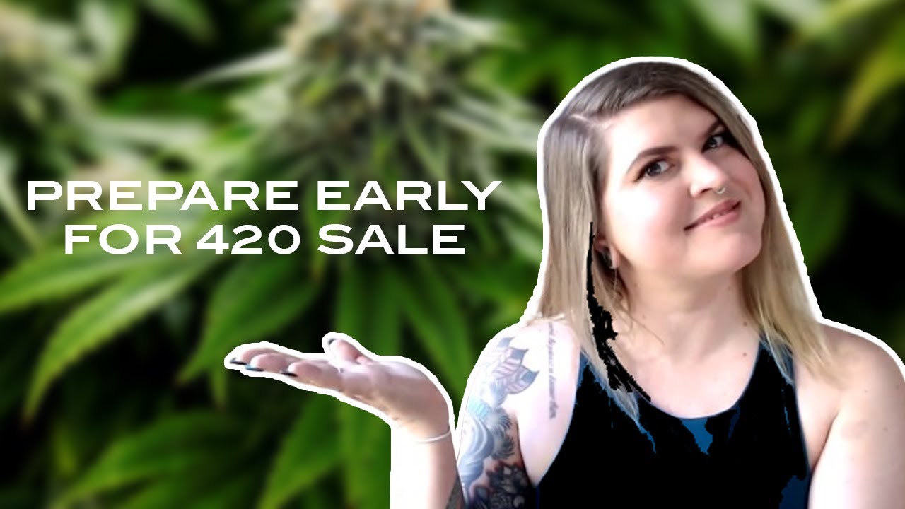 How NOT to CRASH your cannabis business on 4/20