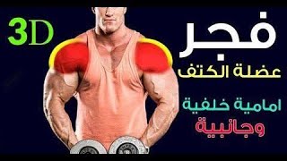 تمارين لتضخيم عضلة الكتف