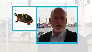 Peter Thomson: UN Special Envoy for the Oceans - #BeatPollution