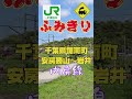 緑の野原を走る電車🌱 JR内房線の癒し踏切#踏切 #JR内房線 #鋸南町 #電車 #鉄道 #ローカル線 #train #railway #shorts #youtubeshorts