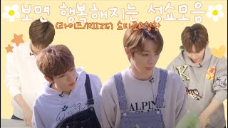 보면 행복해지는☺️ 성쇼 모음 1편(RIIZE/라이즈) 성찬&쇼타로