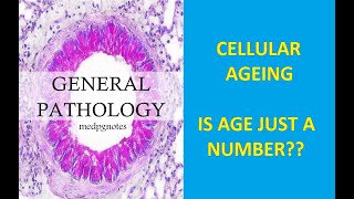 GENERAL PATHOLOGY II CHAPTER 2 II CELL INJURY II CELLULAR AGEING II ROBBINS PATHOLOGY