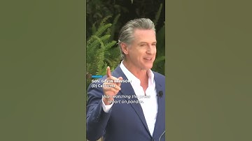 Watch: San Diego Zoo introduces two giant pandas from China #Shorts