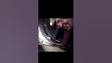 This Is Why The Honda Element Has Terrible Gas Milage