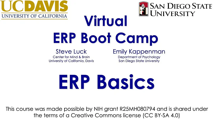 ERP Basics 1-  The EEG