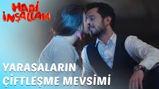 Hadi İnşallah | Yarasaların Çiftleşme Mevsimi