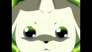 EVO (Digimon Tamers Evolution Theme)