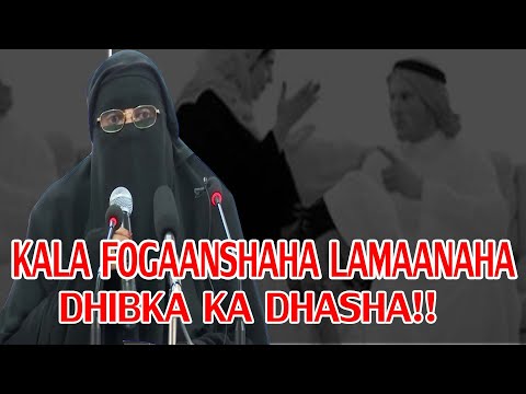 KALA FOGAANSHAHA LAMAANAHA DHIBKA KA DHASHA EE DHANKA QOYSKA || Ustad Caasha Qureesh