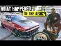 Is this the perfect daily driver? Hert's AE86 Corolla gets Wheels, Carbon and Cooling!