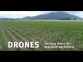Drones: exciting times for agriculture