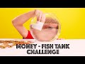 Money-fish tank  Challenge