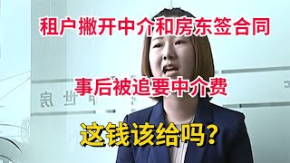 News Commentary 新闻解说 租客撇开中介和房东签合同事后被追要中介费这钱该给吗