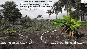 Biochar - Can it save the planet? Albert Bates Interview