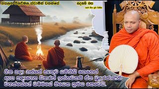 හිත හදා ගන්නේ නැතුව යම්කිසි කෙනෙක් ඇඟ හදාගෙන විතරක් ඉන්නවනම් .2160Ven Hasalaka Seelawimala Thero