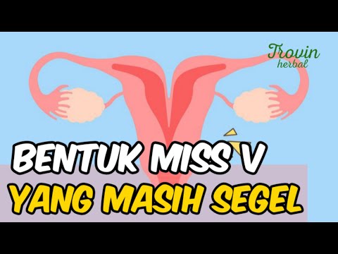 Bentuk Vagina Perawan Yang Belum Menikah, Masih Sempit Dan Belum Terlalu Banyak Tumbuh Bulu