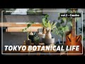 TOKYO BOTANICAL LIFE - vol.1 塊根植物（コーデックス）編