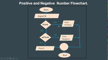 #34 Python Bangla Tutorial for Beginners | | Positive or Negative number define Algorithm Flowchart