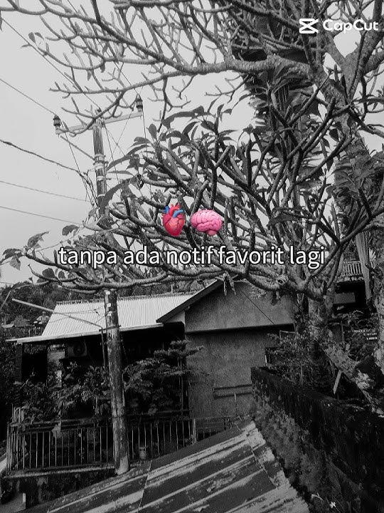 aku sayang kamu kakak