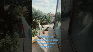 Шуменската пантера