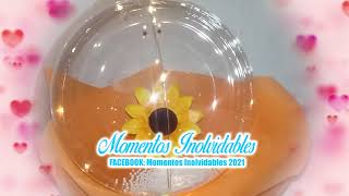 Globo Burbuja Led Girasol / Sunflower Led Bubble