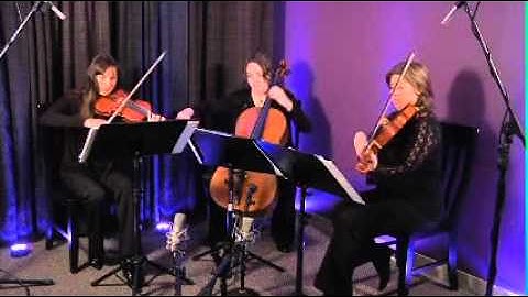 Canon in D (Pachelbel) for String Trio (Violin, Viola, Cello)