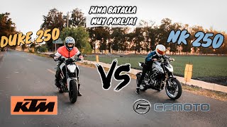 Esto fue una LOCURA, VERSUS entre NK250 y DUKE250| Aguacate Motovlogs