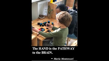 SORTING ACTIVITY FOR CHILDREN (MONTESSORI SENSORIAL ACTIVITY)