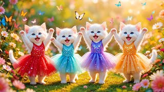 Dudi Dudi Dam Dam 💃💃💃| Cutest Cat Dancing On Dudi Dudi Dum Dum😺By Liliy Meow Dance #dudidudi #dumdum