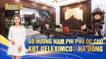 Mê mẩn NỘI THẤT BIỆT THỰ TÂN CỔ ĐIỂN full gỗ hương Nam Phi | KĐT Geleximco