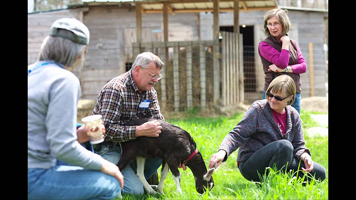 Goat School