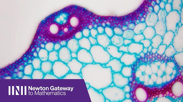 Prof. Matthieu Wyart | On the Nature of the Glass Transition