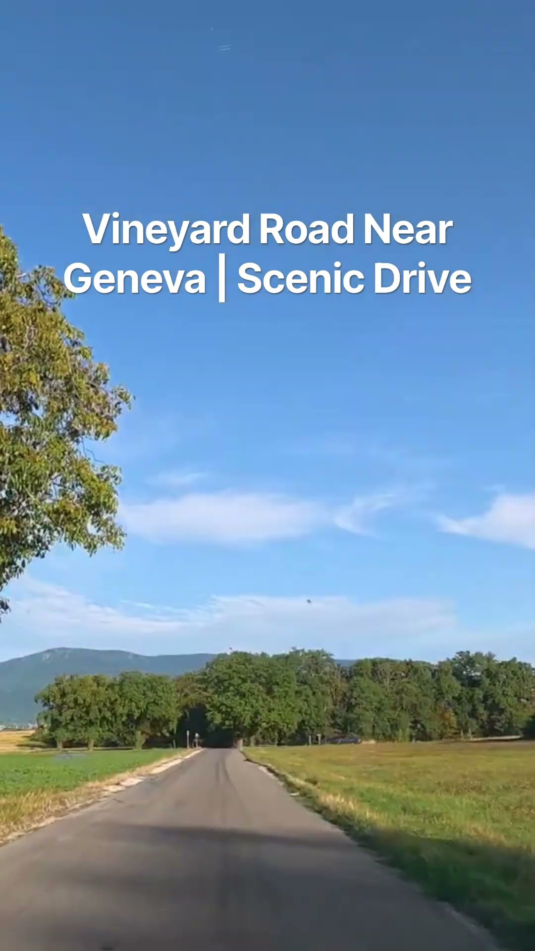 Vineyard road in the Geneva countryside 🇨🇭 wine not included #Geneva #Switzerland #4KDrive