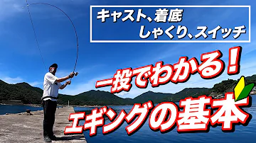 エギングしゃくり エギングしゃくり