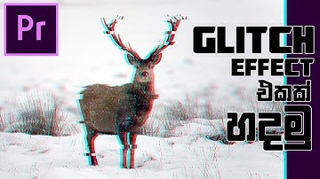 How to make a Glitch Effect in Adobe Premiere Pro | Sinhala | සිංහල | Sharadh Chanduma | 4K