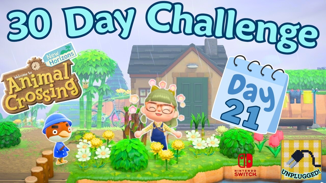 🌿 30 IRL Day ACNH Challenge Day 21 | Zen Garden & Laundry Area Ideas | Animal Crossing New Horizons