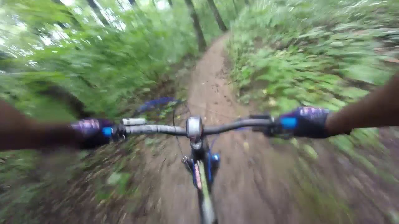 Renaissance Park Mountain Bike Trail 1 of 2 trails