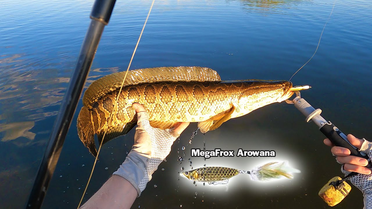 The BEST LURE for Early Season Snakehead; Spring Snakehead Fishing in  Maryland 