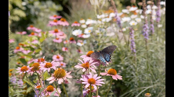 What is Ecological Landscape Design?