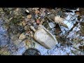 I Walked Up The Creek and Found Bottles, Marbles, and Bamboo | Nugget Noggin