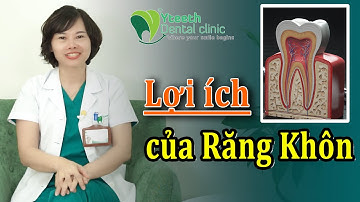 Những Lợi ích không ngờ của răng khôn || Bác sĩ Yến Yteeth