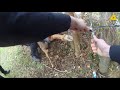 Police Help Rescue Trapped Deer