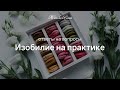 Открытый вебинар «Изобилие на практике» — Женская Санга — WomanSanga.ws