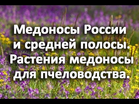 Видео: Медоносни цветя