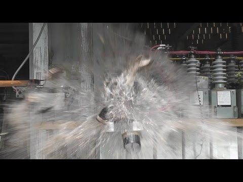 Coconut explodes on Cap Bank