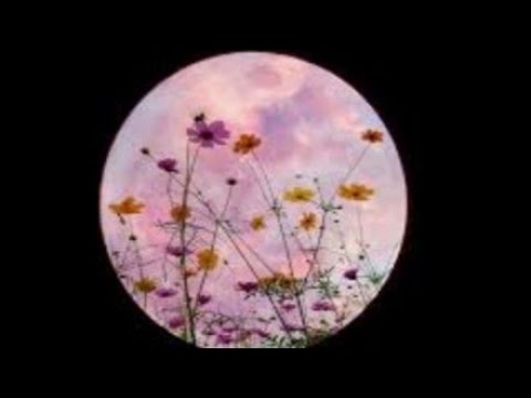 Full "flower" Moon 2020 #BloodMagic  upcoming spells