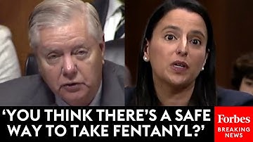 Lindsey Graham Grills Judicial Nominee About Support For 